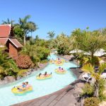 I migliori parchi divertimento a Tenerife, tra parchi acquatici, parchi a tema e parchi faunistici