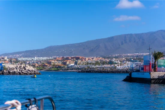 Marina sulla costa sud di Tenerife